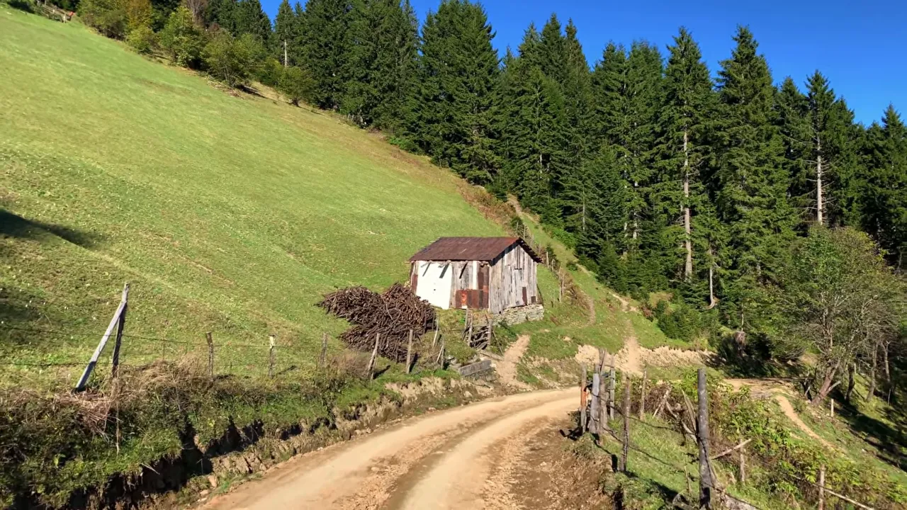 Eğimli yayla, toprak yol ve ağaçlık alanda küçük ahır