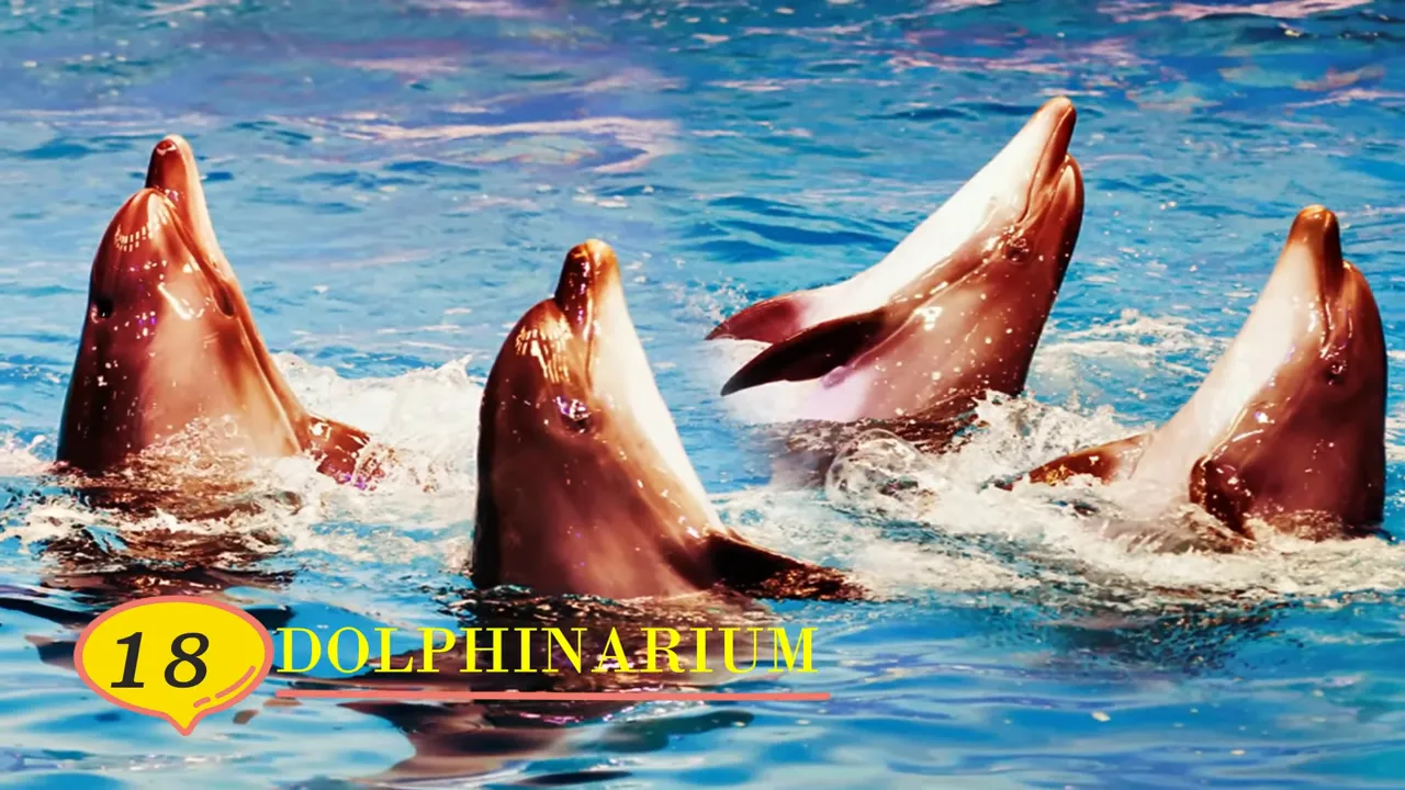 Group of dolphins breaching the water with '18 Dolphinarium' overlay text