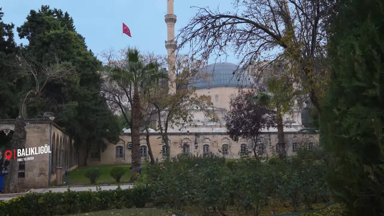 View of Balıklıgöl showing the mosque dome and minaret framed by trees and a Turkish flag, marking the pool entrance.