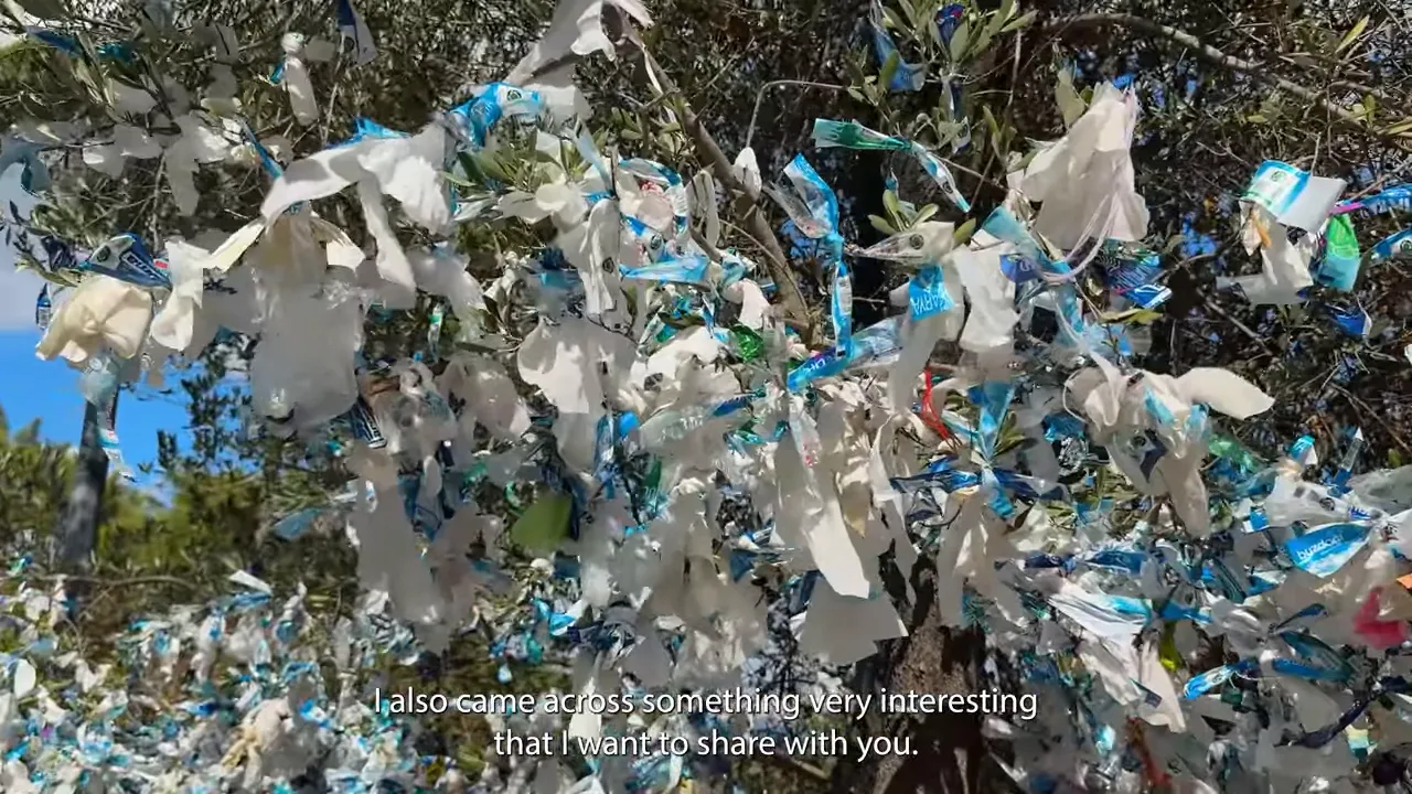 Tree covered with tied-up trash on B&uuml;y&uuml;kada during the walk to Aya Yorgi Church