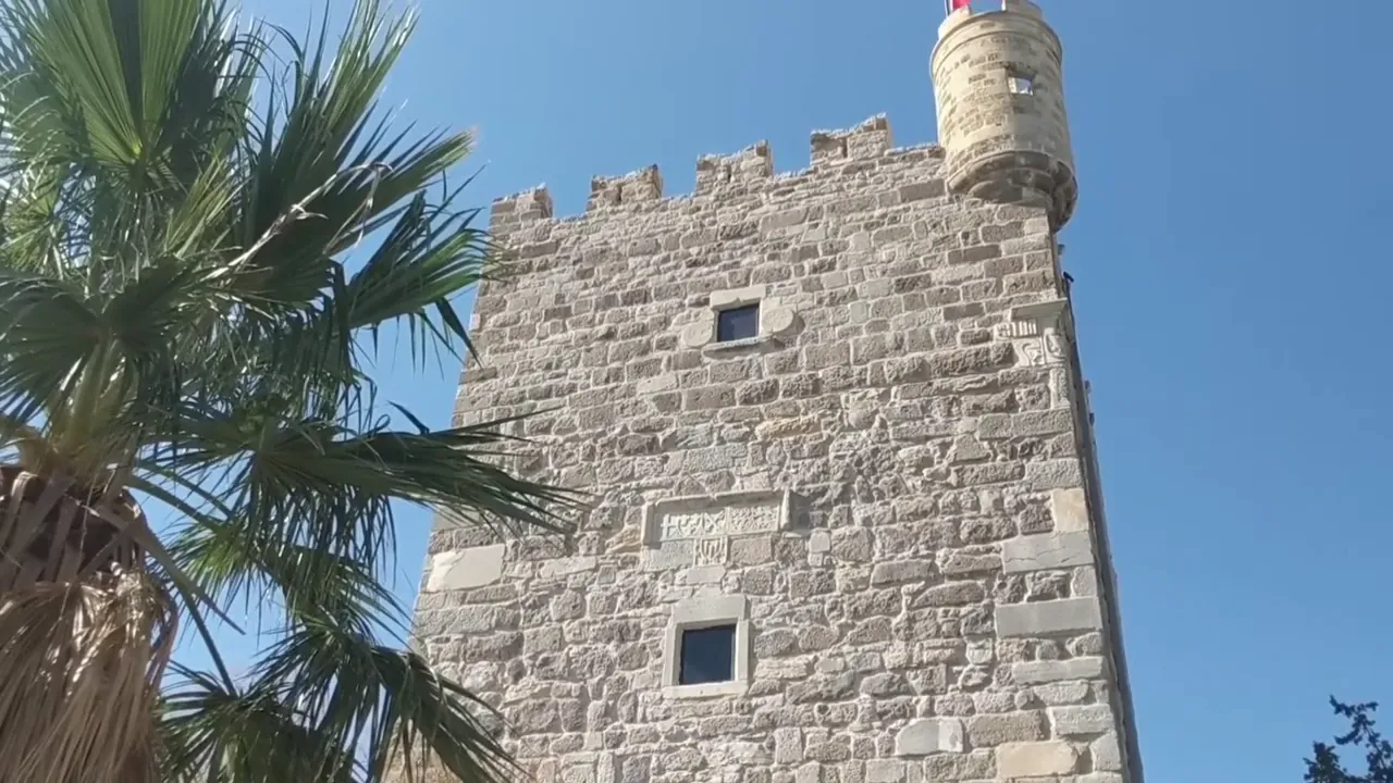 Bodrum Castle tower with palm tree and turret against a clear blue sky