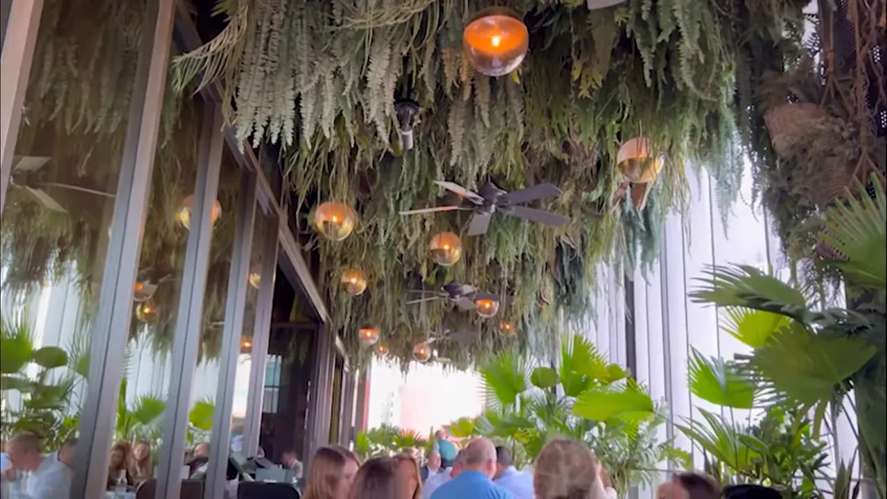 Guests seated under a hanging jungle-themed ceiling with warm lantern lights at a rooftop bar