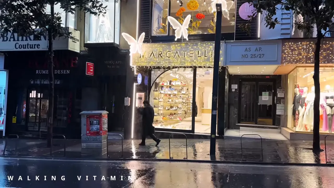 Nisantasi boutique storefront with holiday butterflies, illuminated display and wet pavement reflections