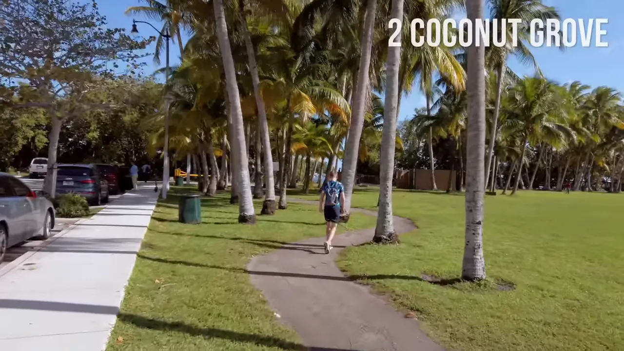 Pedestrian path lined with palm trees and green lawn in Coconut Grove park