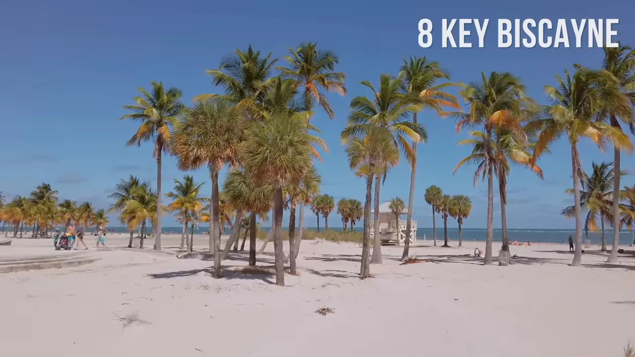 Key Biscayne beach with clusters of palm trees, white sand and a lifeguard hut in the distance