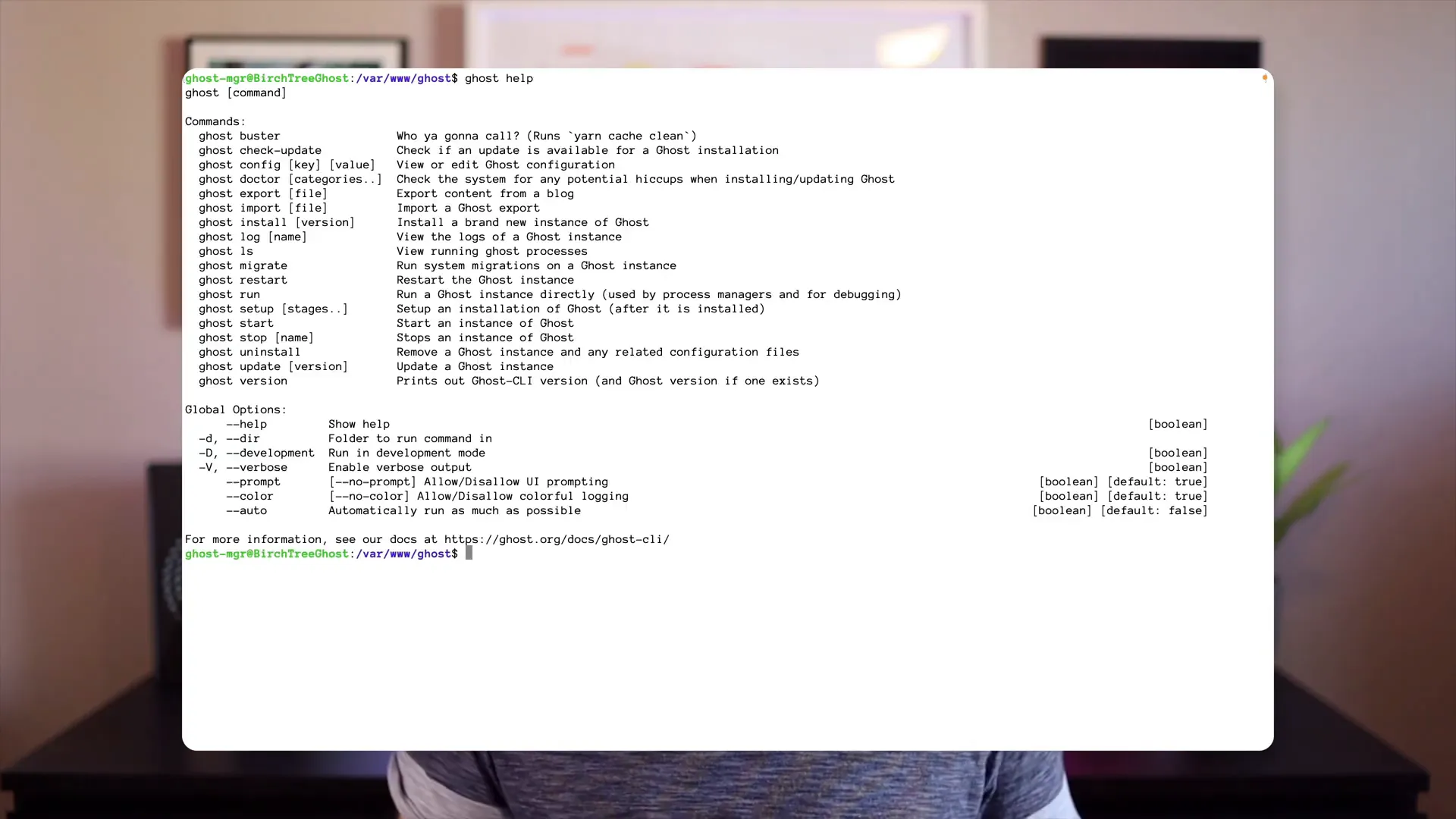 Terminal window showing Ghost update command