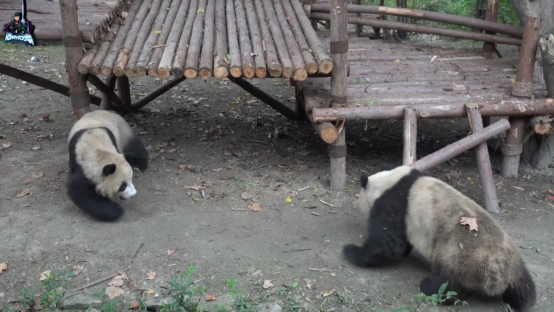 Pandas als Symbol für Naturschutz