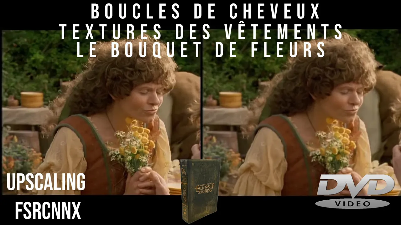 Comparaison côte à côte d'une scène de film avec annotations sur les boucles de cheveux, textures des vêtements et bouquet de fleurs