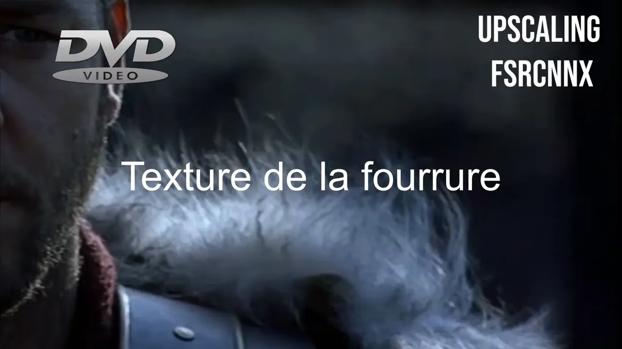 Comparaison d'une scène avec un personnage en manteau de fourrure et texte indiquant texture de la fourrure et upscaling FSRCNNX