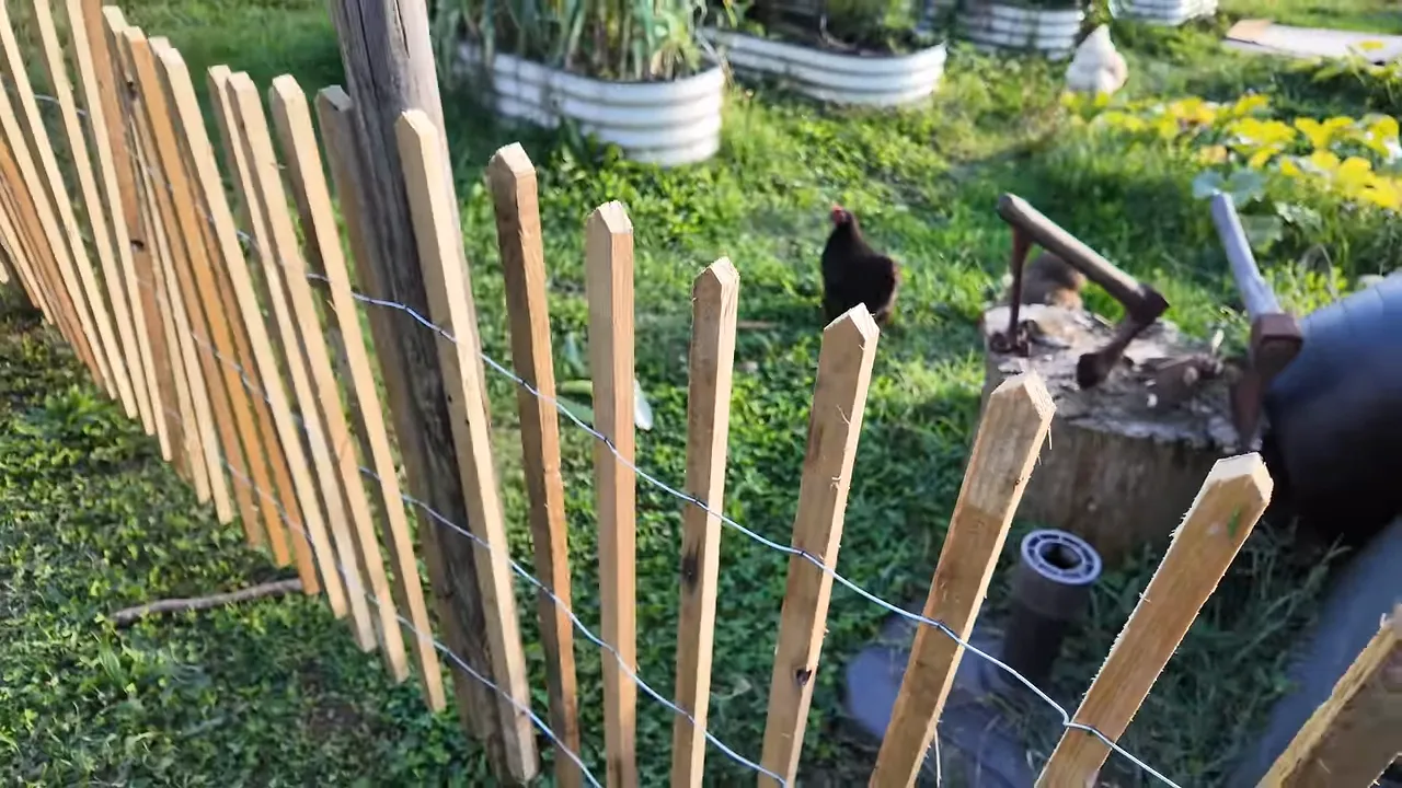 Clôture ajourée en lattes pointues devant les bacs du potager et un composteur