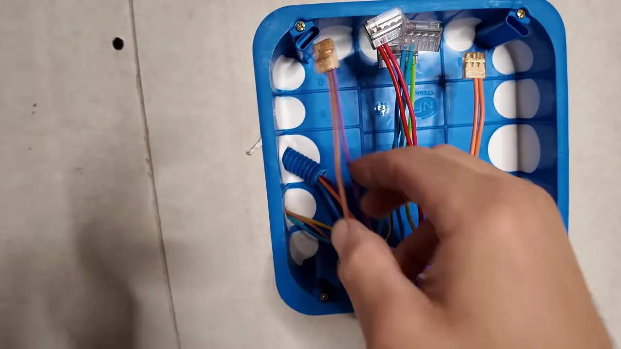 Boîte de dérivation bleue avec conducteurs colorés et connecteurs de raccordement