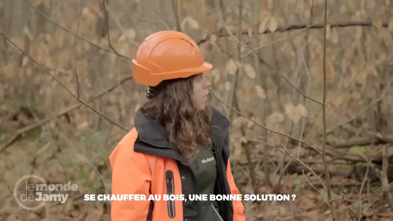 Professionnel en tenue de sécurité orange dans une forêt illustrant la gestion sylvicole