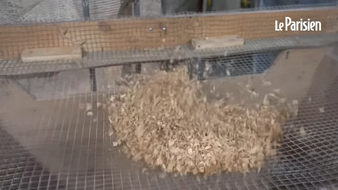Tas de sciure de bois sur un tamis métallique en cours de tamisage.