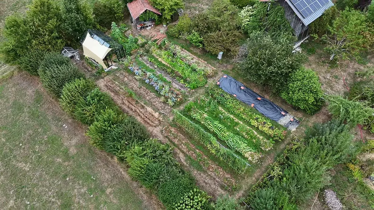 Vue aérienne de rangs de cultures entourés d'arbres et d'un panneau solaire