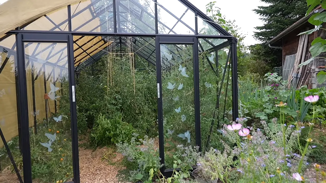 Serre en verre noire entourée de fleurs et de cultures