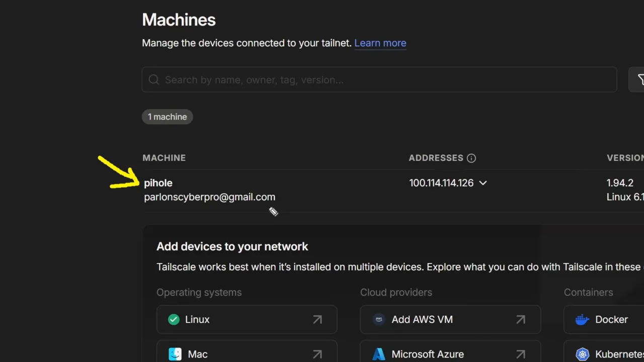 Vue de la page 'Machines' de Tailscale montrant 'pihole' avec une flèche indiquant le nom et l'adresse IP.