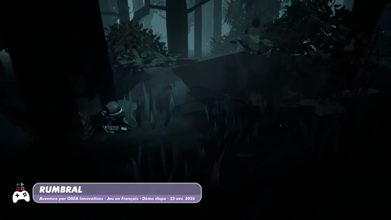 Image de gameplay sombre de Rumbral montrant une scène en forêt avec une silhouette au loin