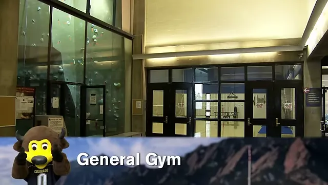 Rock wall and bouldering area on the second floor lobby