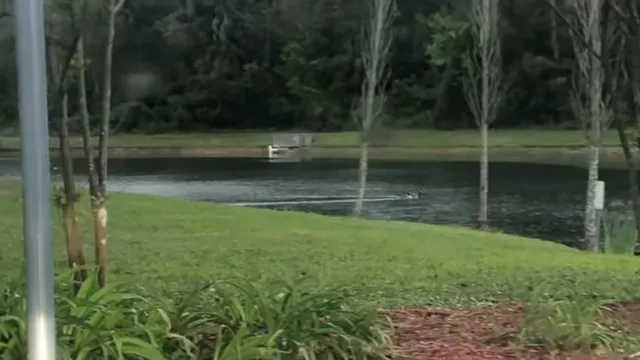 One of the campus pools surrounded by student lounge chairs