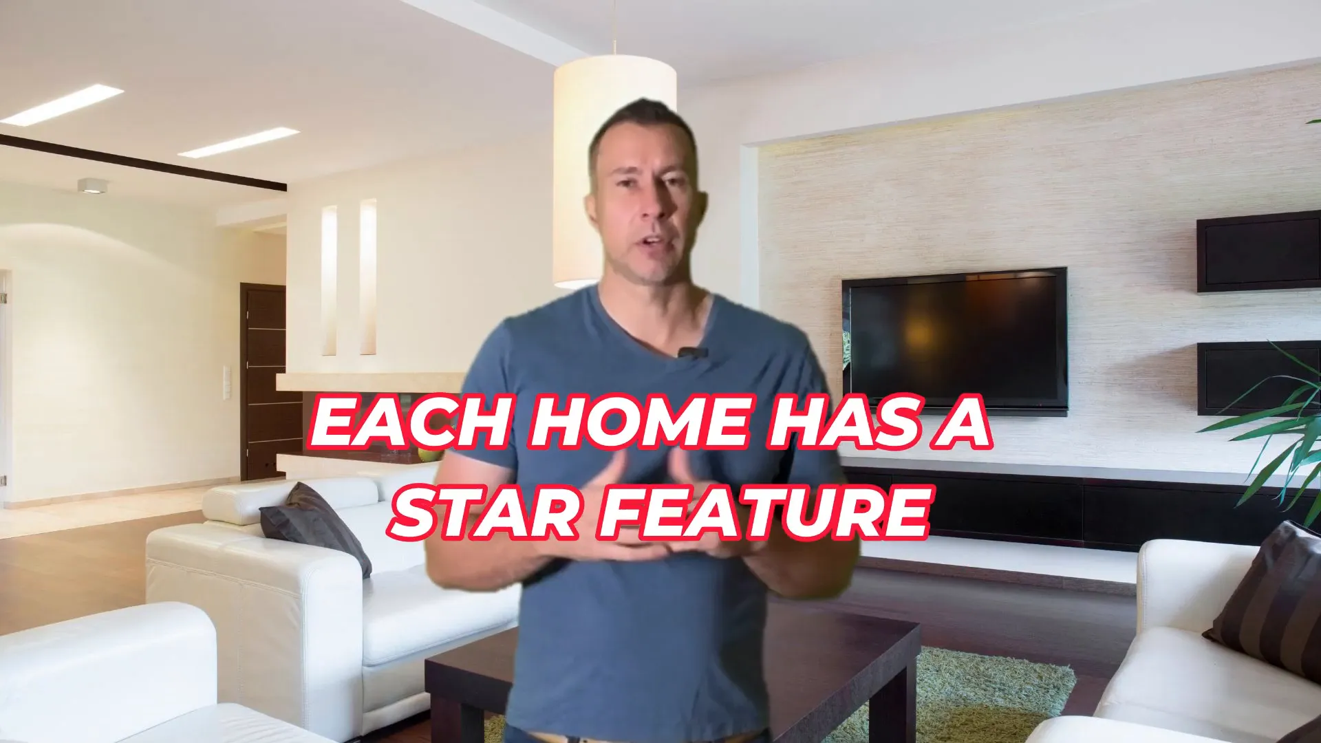 Example of a well-staged living room highlighting star features