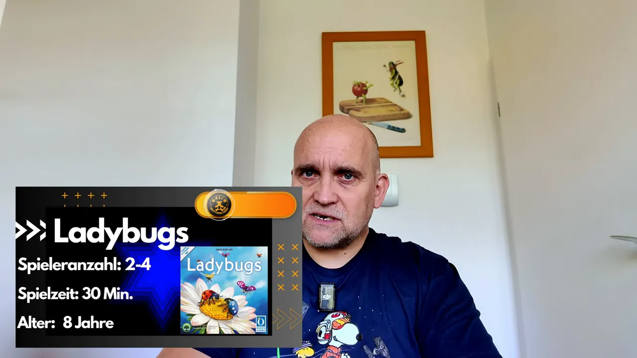 Ladybugs Spielplan und bunte Marienkäfer