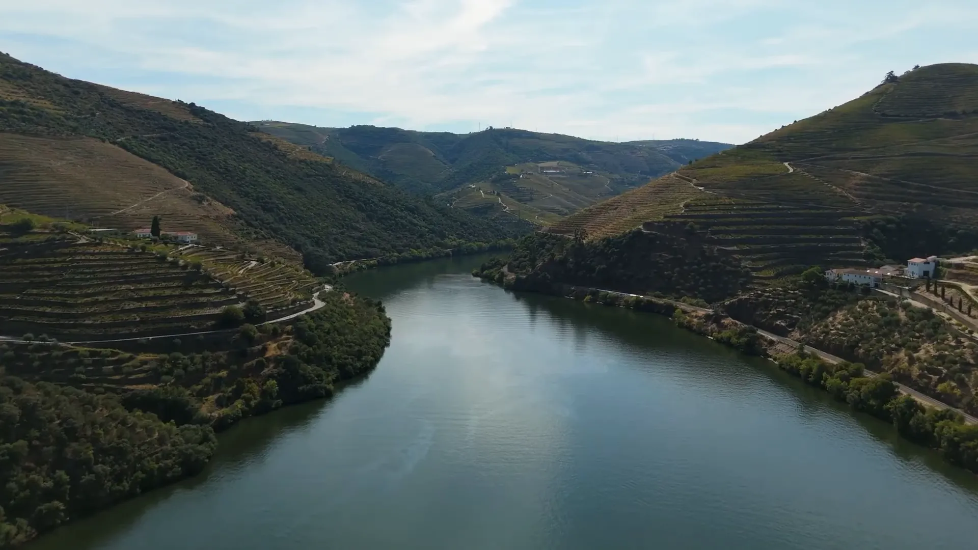 Douro River valley with terraced vineyards