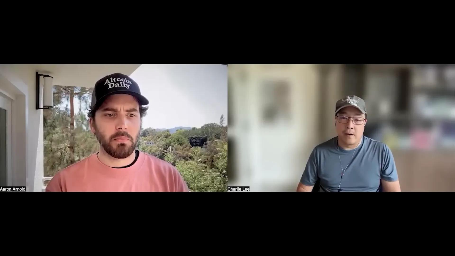 Charlie Lee explaining crypto market cycles