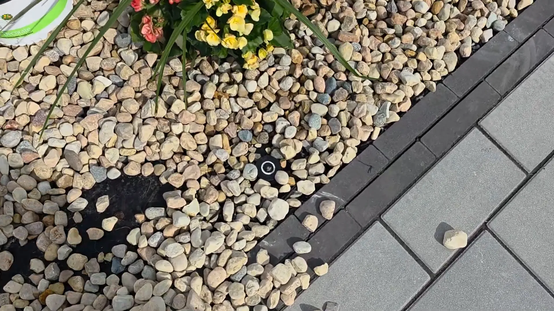 Sprinkler heads buried under rocks and tarp