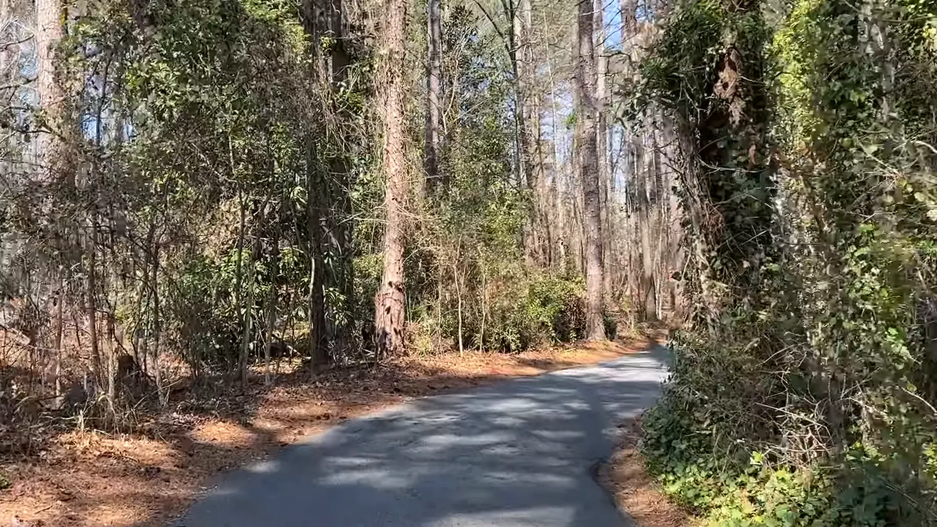 Golf cart trails in Wilkesmoor Village surrounded by nature