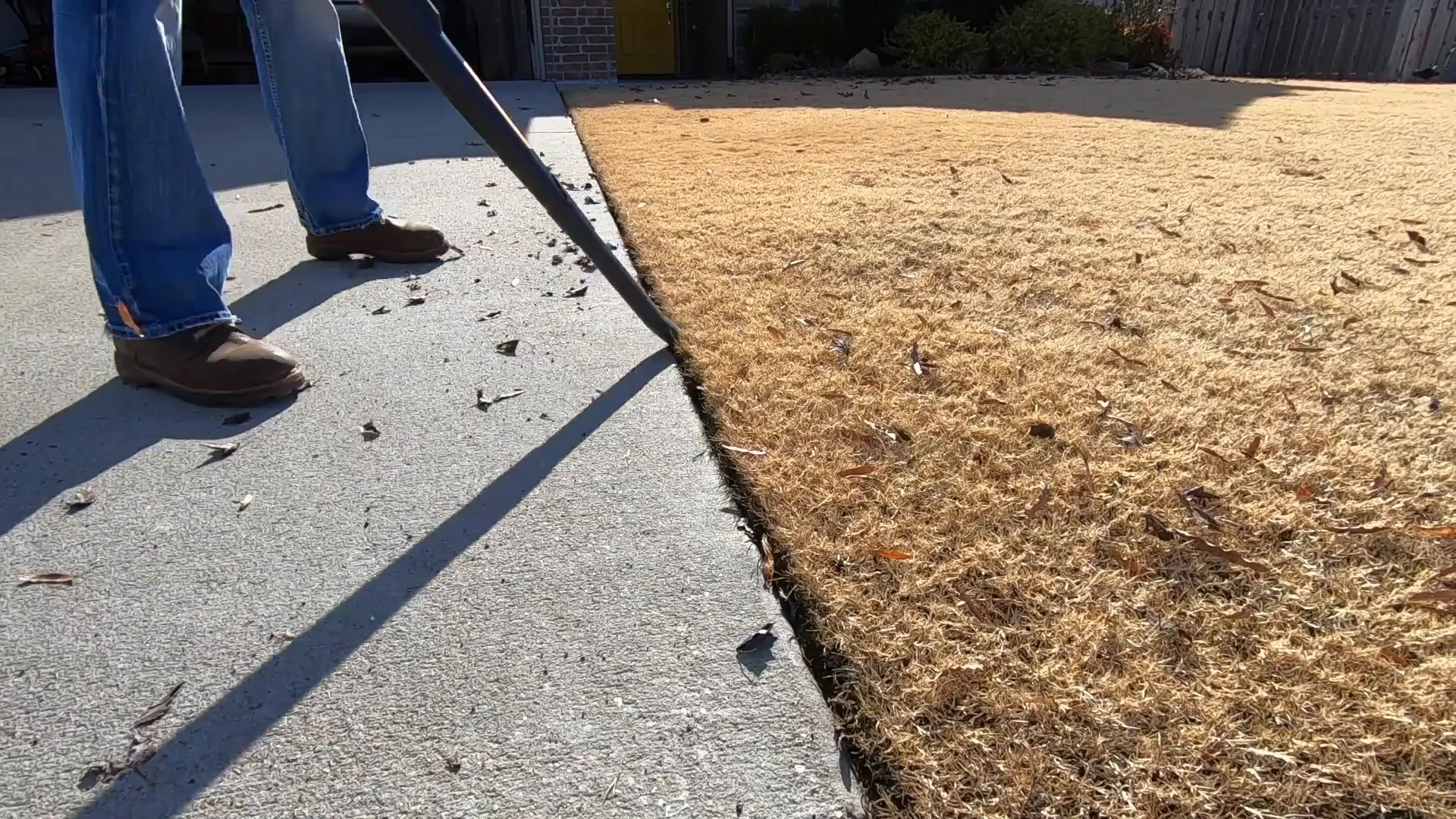 Cleaning up the lawn in January