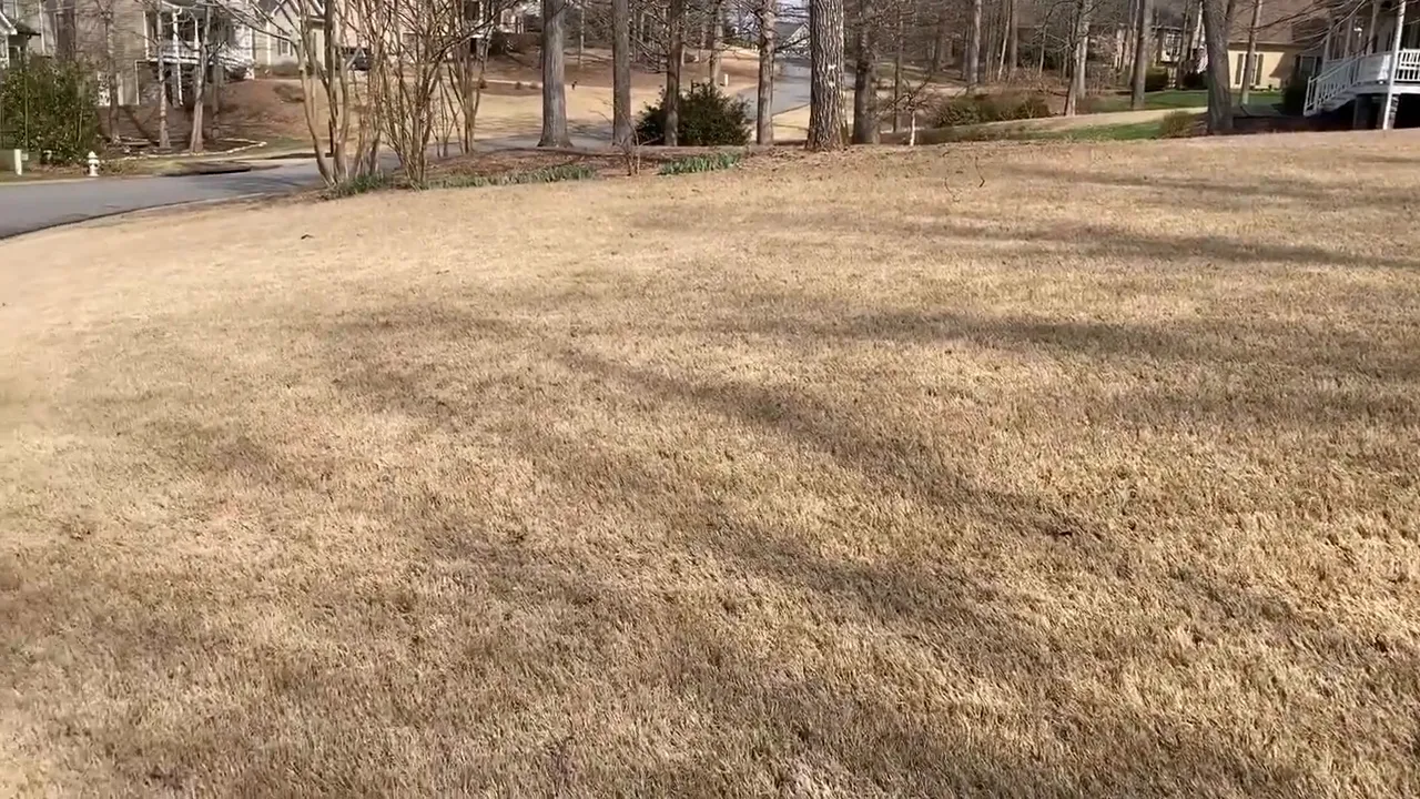 Front yard lawn showing typical Connecticut residential property size for measurement