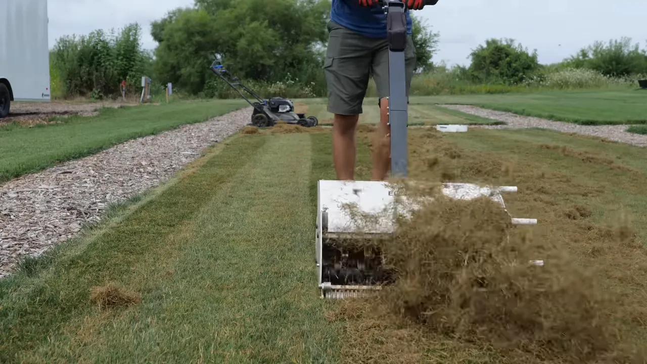 Power dethatcher pulling dead grass and thatch from a lawn