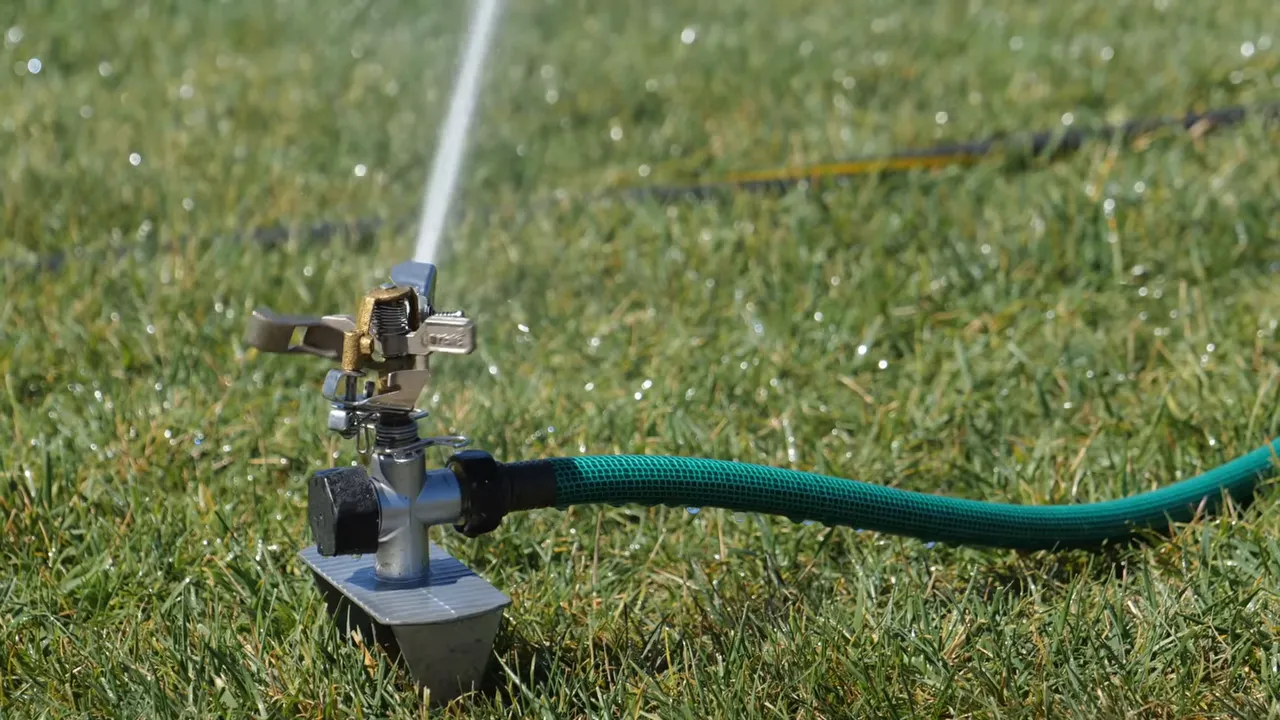Sprinkler watering a green lawn