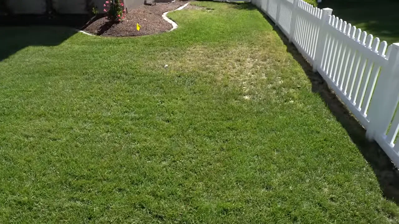 Wide view of a backyard lawn with uneven, scattered brownish patches in Connecticut