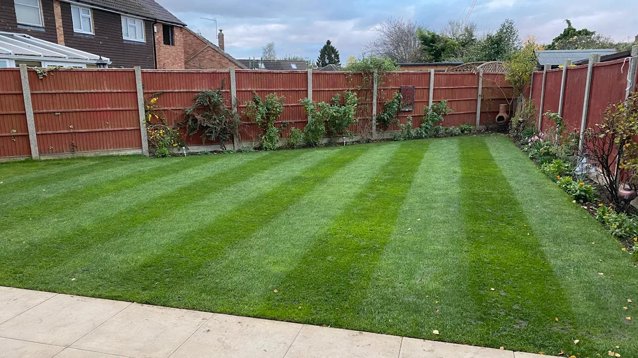 Well-maintained lawn with visible striping pattern showing proper winter preparation