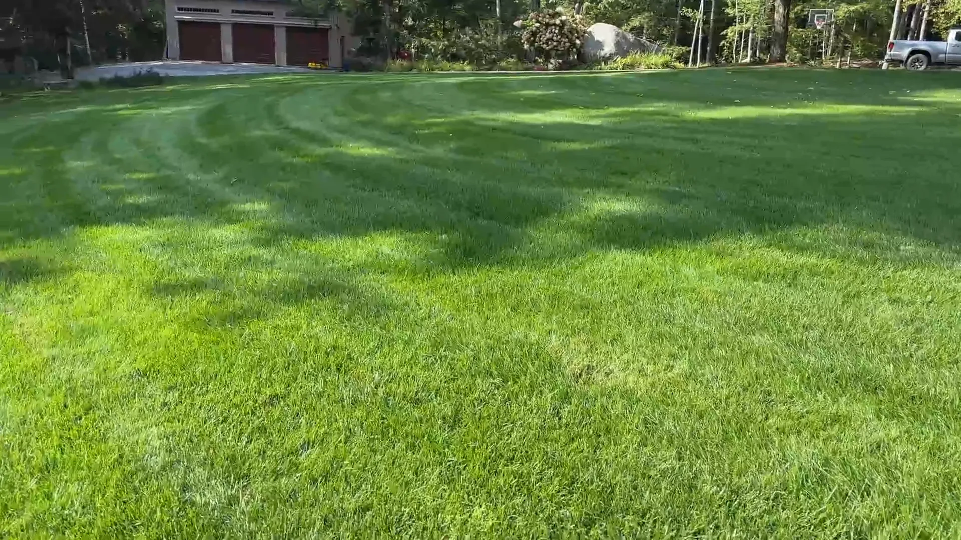 How often to mow your lawn