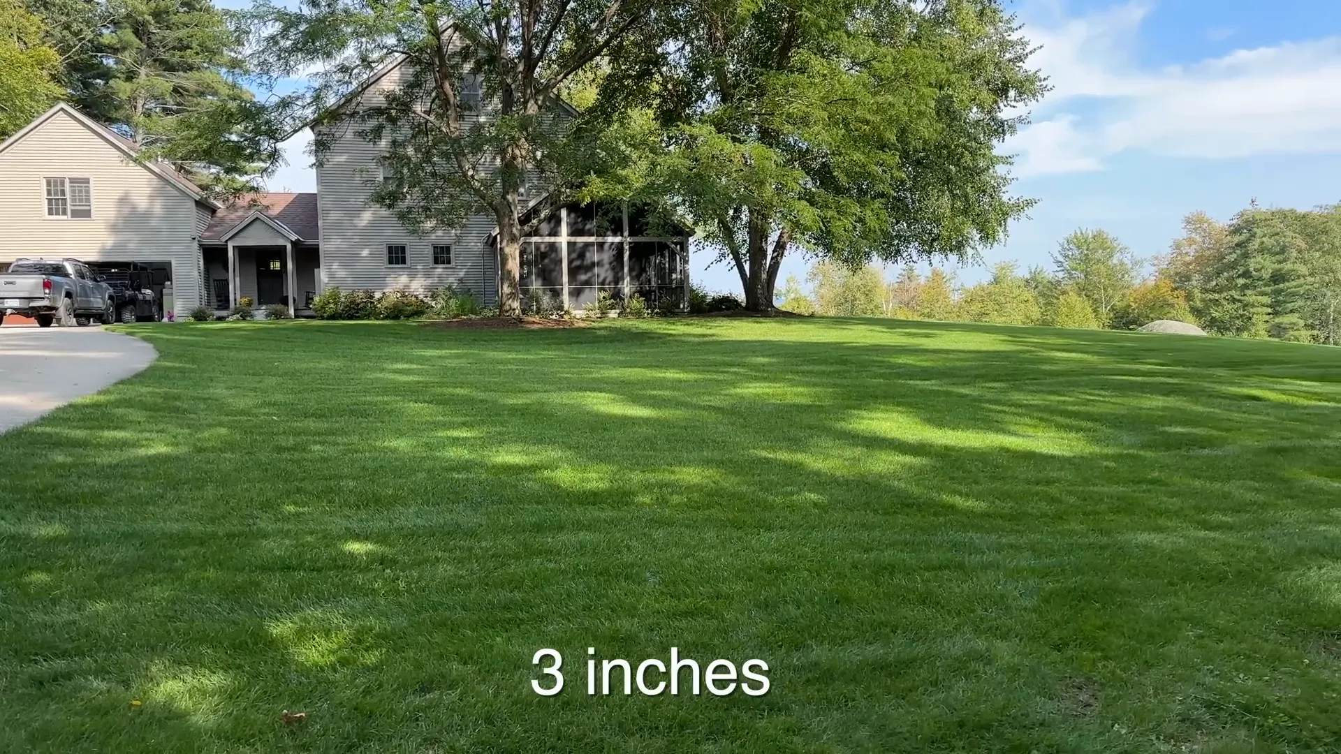Ideal cutting height for grass