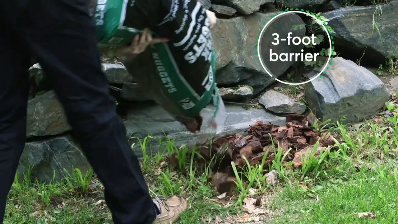 Bark or woodchips being poured to form a three-foot tick barrier between yard and wooded area