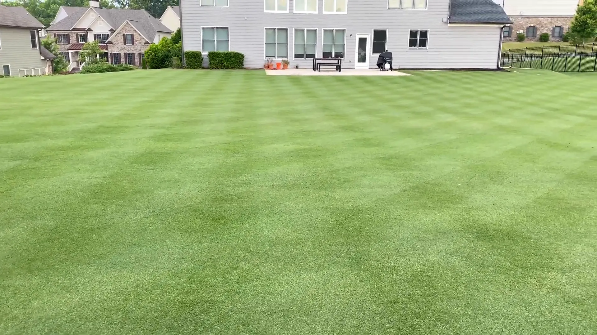 Lawn looking vibrant and healthy before holiday