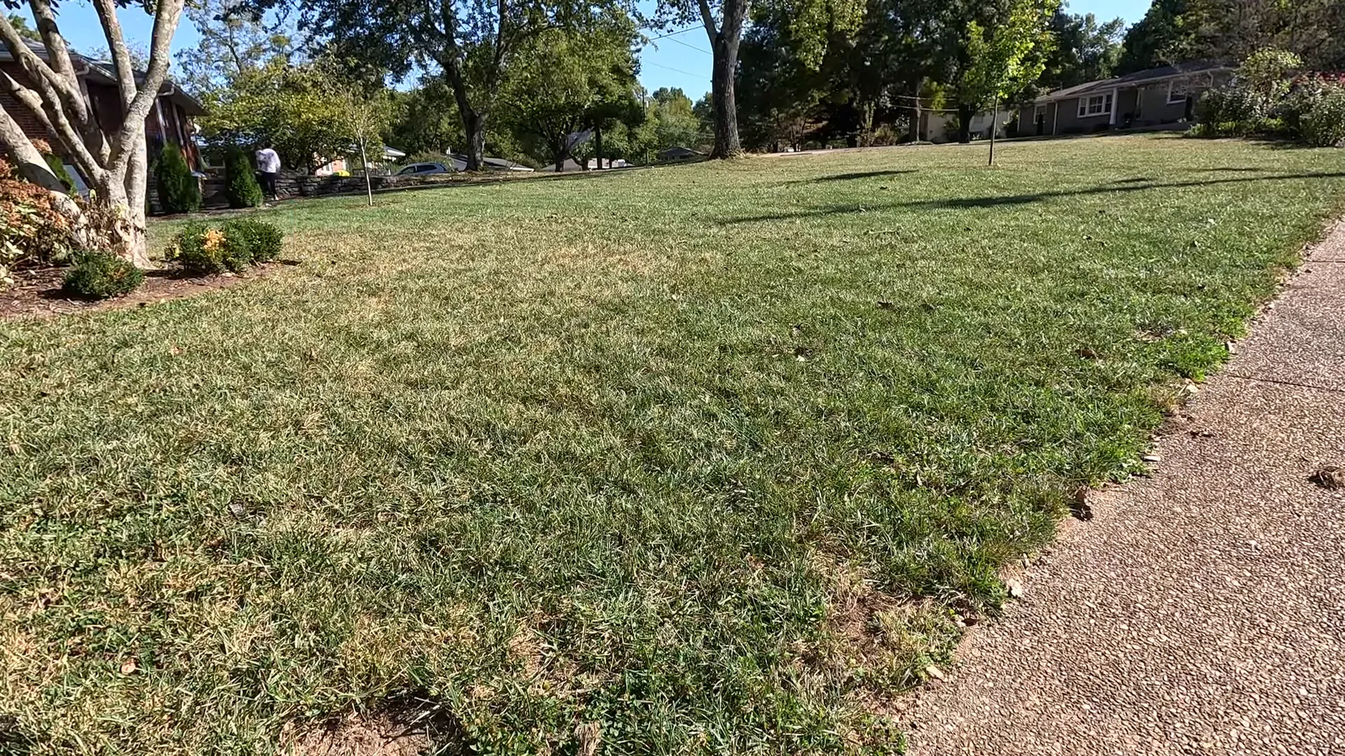 Seeding the lawn