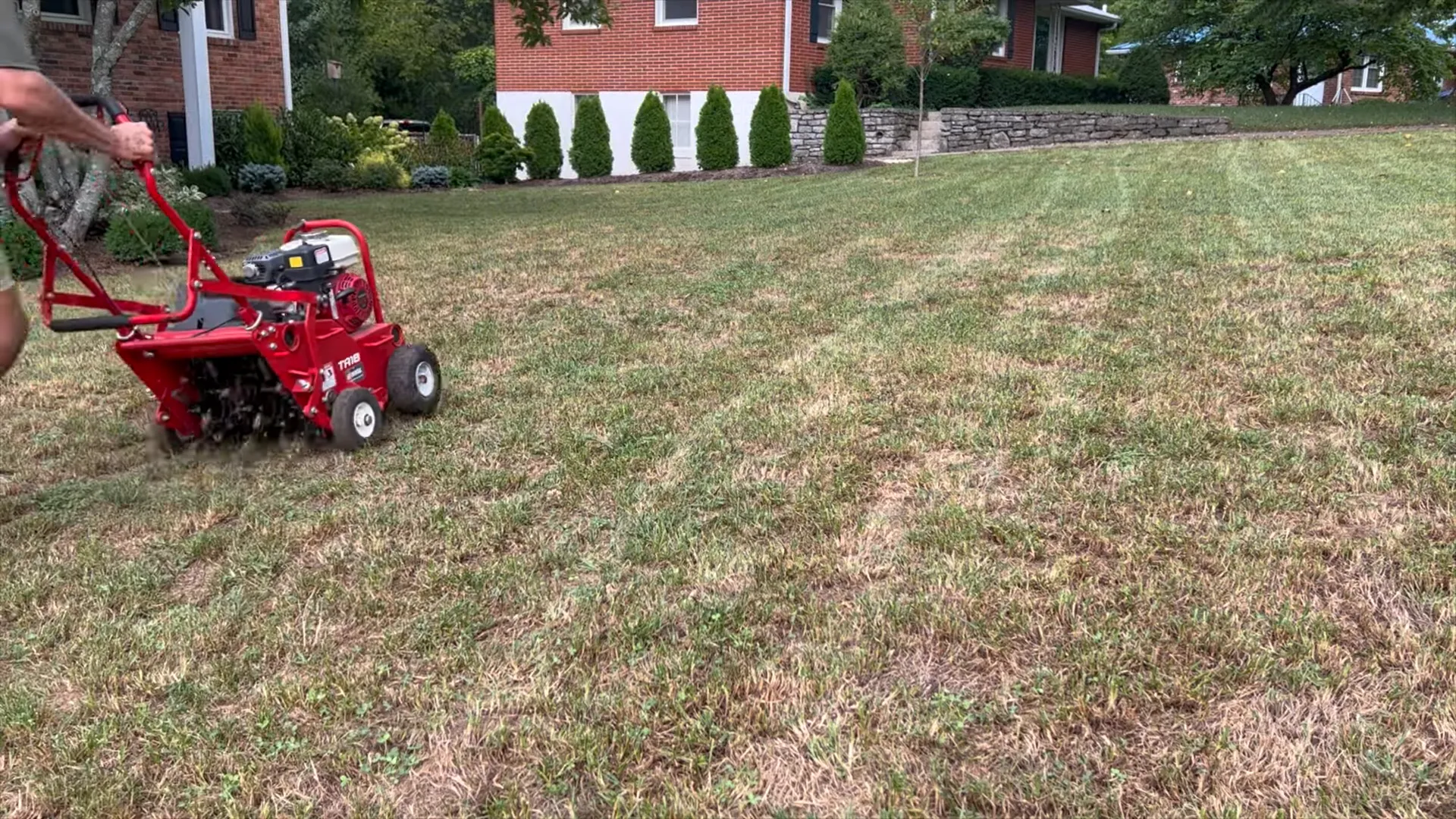 Aerating the lawn