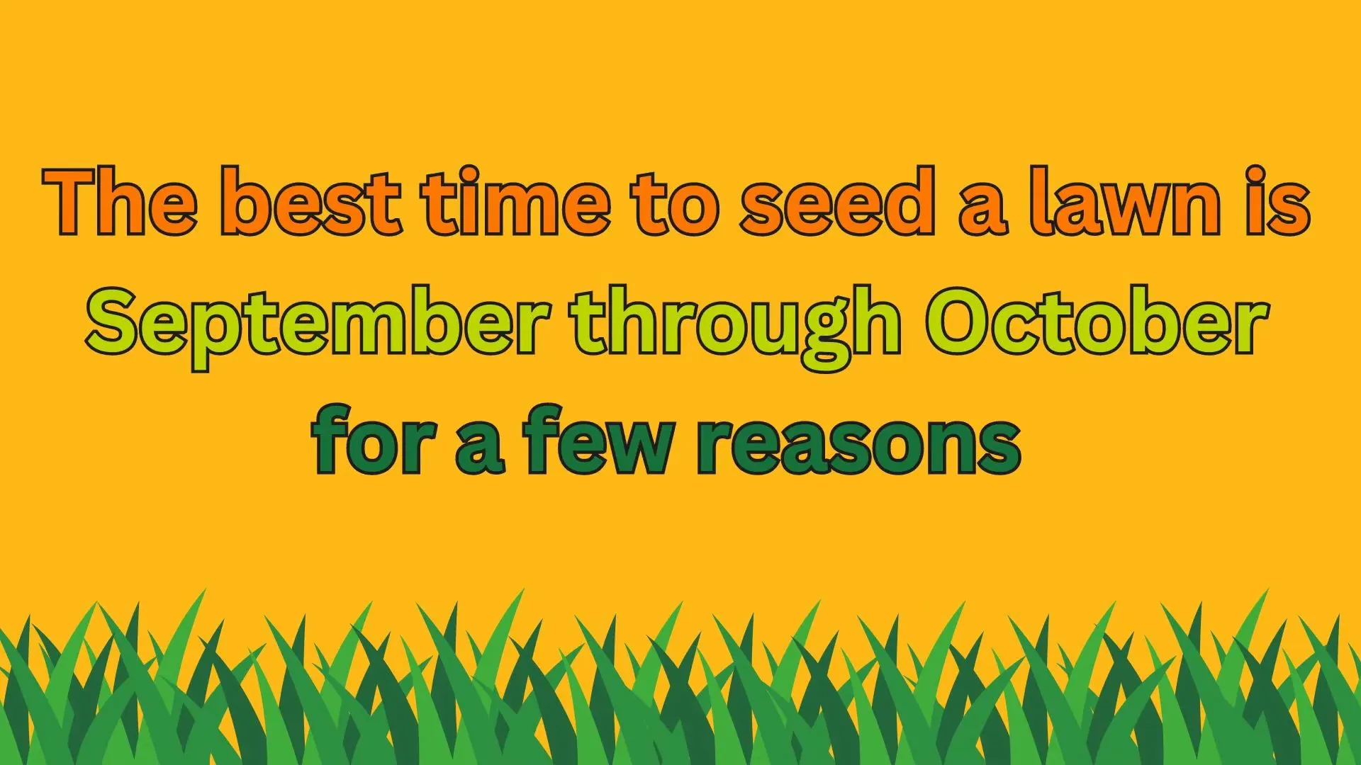 September through October is ideal for seeding