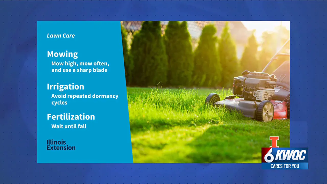 Mowing lawn with a mower lawn care clarksville