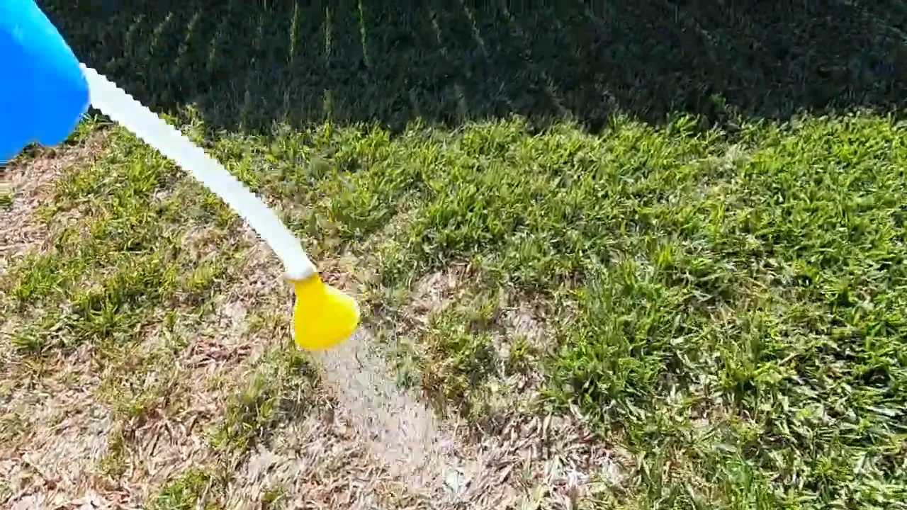 Yellow-handled sprayer applying water and dish detergent solution to a bald patch in the lawn