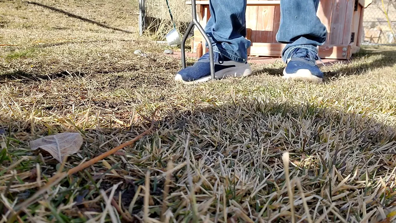 Hand core aerator tool creating holes in a lawn to improve air and water movement