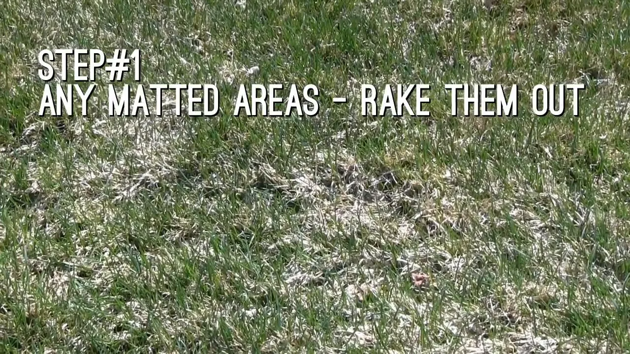 Step 1: rake out any matted dead grass from Fort Worth lawn