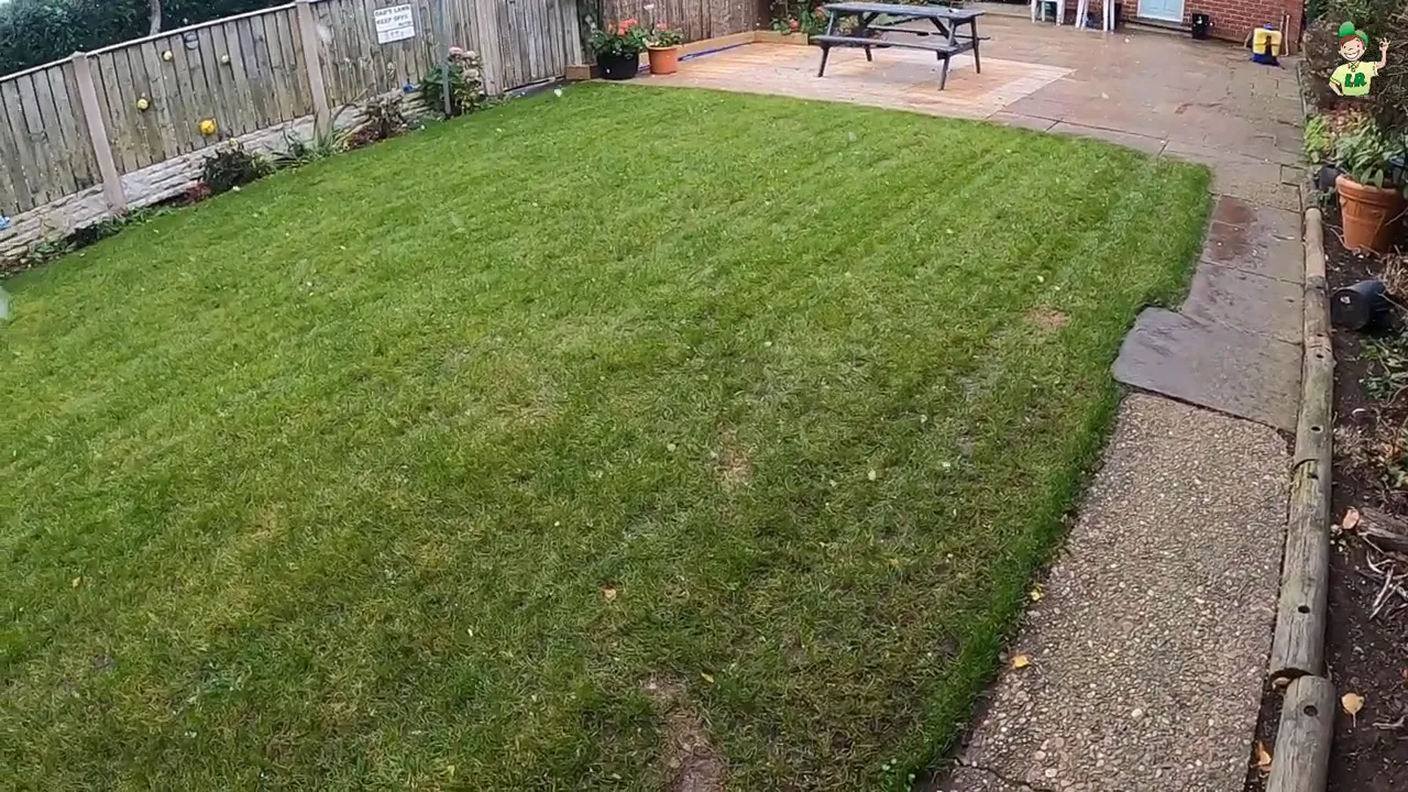 Lawn showing brown patches and worn spots to address in spring