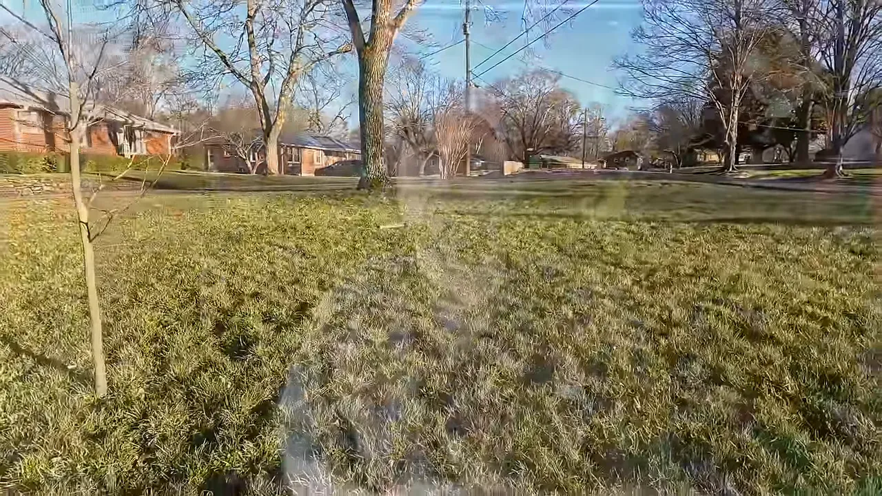 Wide aerial view of a residential yard with grass and leafless trees in early spring Wide aerial view of a residential yard with grass and leafless trees in early spring