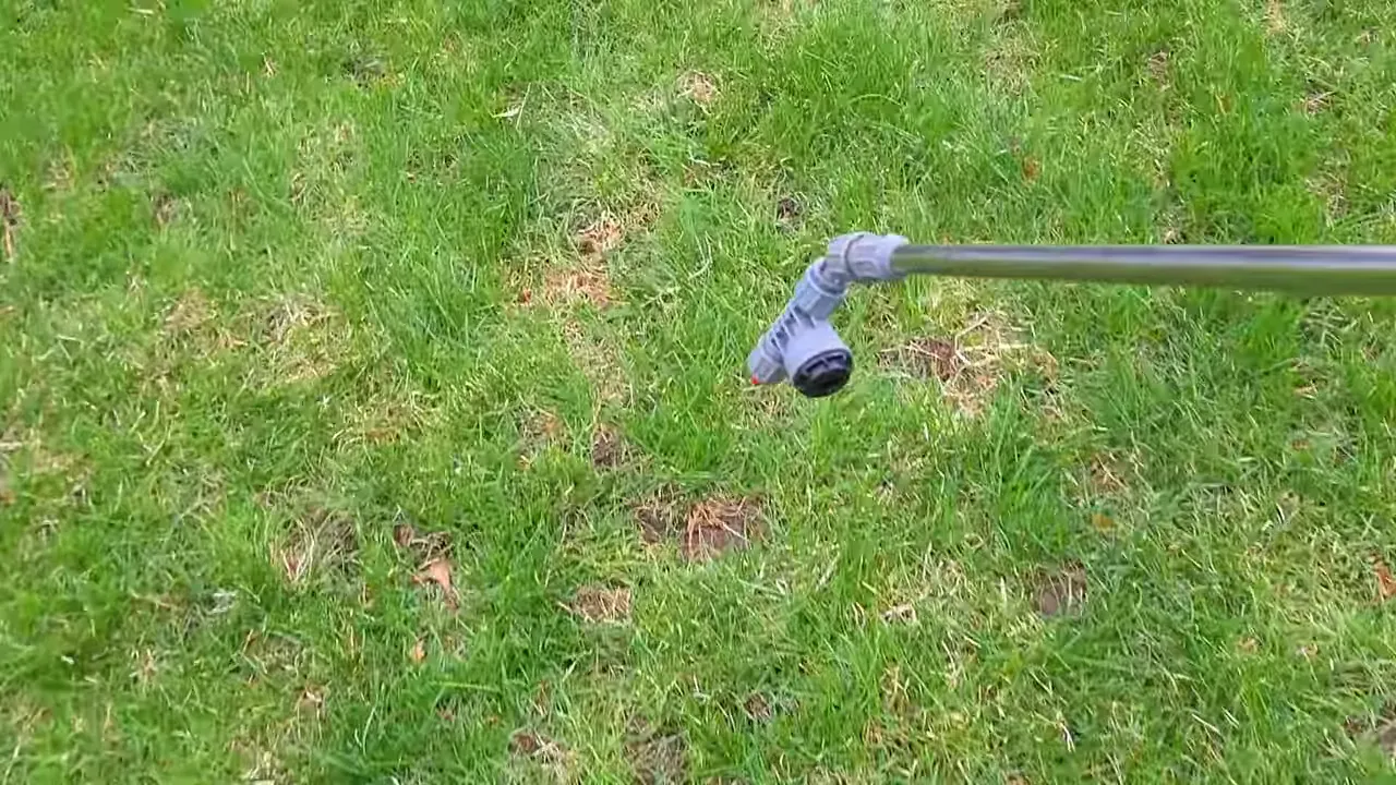 Herbicide spray wand positioned over a lawn patch for targeted application