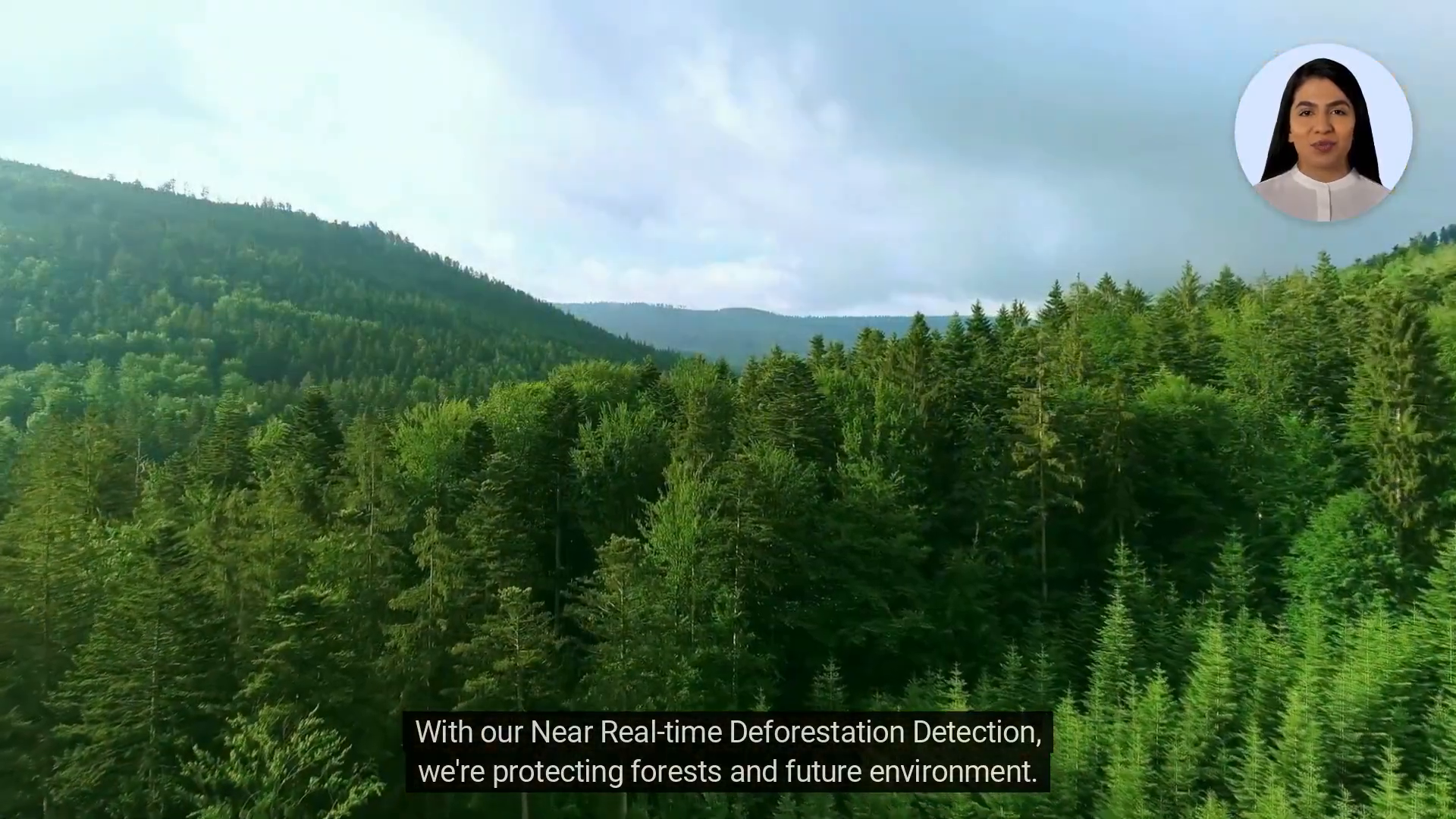 Deforestation detection system interface